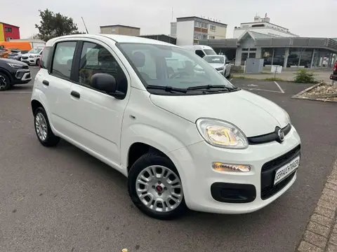 Annonce FIAT PANDA Essence 2020 d'occasion 