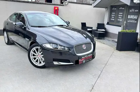 Annonce JAGUAR XF Diesel 2015 d'occasion 