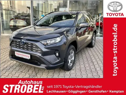 Used TOYOTA RAV4 Hybrid 2024 Ad 