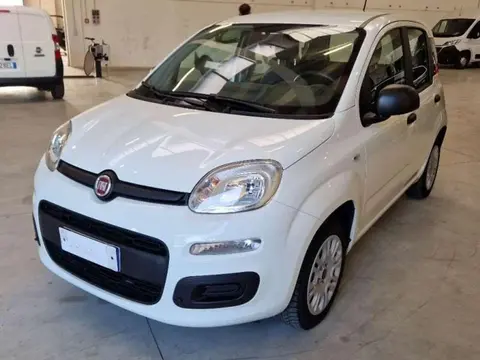 Annonce FIAT PANDA Essence 2020 d'occasion 