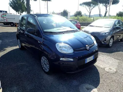 Used FIAT PANDA Hybrid 2021 Ad 