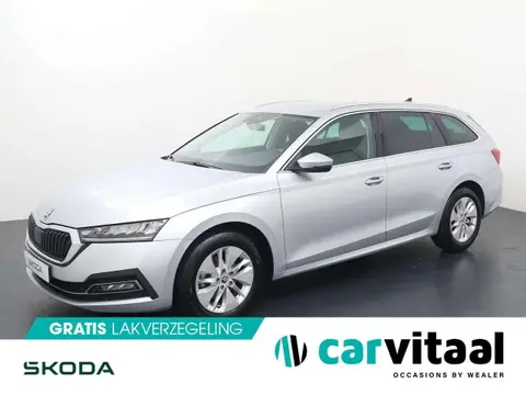 Annonce SKODA OCTAVIA Essence 2021 d'occasion 