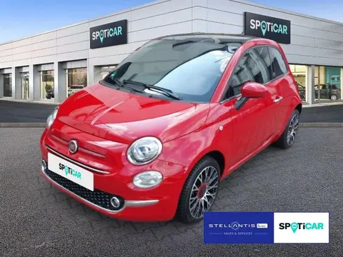 Used FIAT 500 Petrol 2023 Ad 