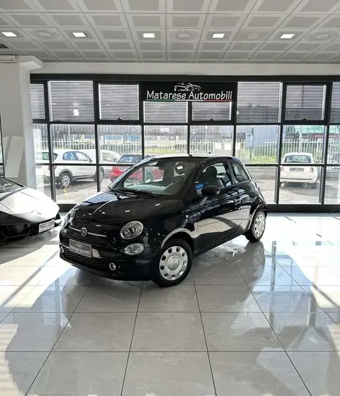 Used FIAT 500 Petrol 2023 Ad 