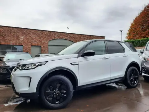 Used LAND ROVER DISCOVERY Diesel 2020 Ad Belgium