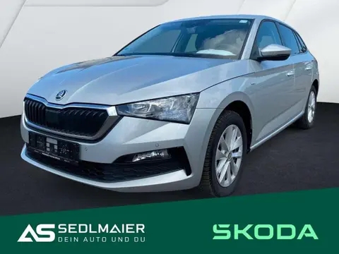 Annonce SKODA SCALA Essence 2023 d'occasion 