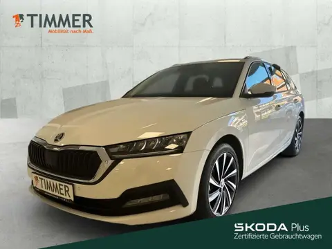 Annonce SKODA OCTAVIA Diesel 2023 d'occasion 