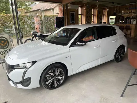 Annonce PEUGEOT 308 Essence 2024 d'occasion 