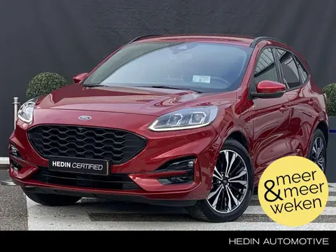 Used FORD KUGA Hybrid 2020 Ad 