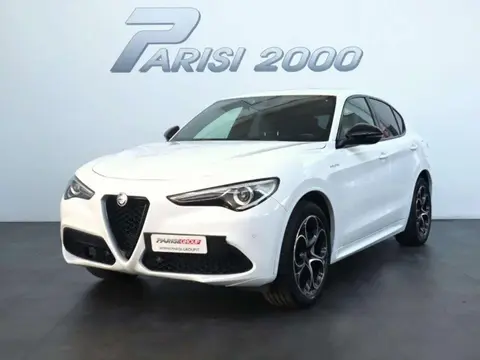 Used ALFA ROMEO STELVIO Petrol 2022 Ad 