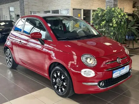 Used FIAT 500 Petrol 2022 Ad 