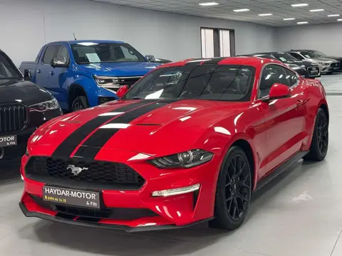 Annonce FORD MUSTANG Essence 2020 d'occasion 