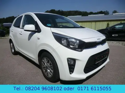 Used KIA PICANTO Petrol 2023 Ad 