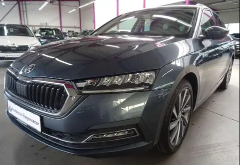 Used SKODA OCTAVIA Diesel 2021 Ad 