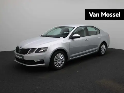 Used SKODA OCTAVIA Petrol 2018 Ad 