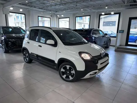 Used FIAT PANDA Hybrid 2024 Ad 