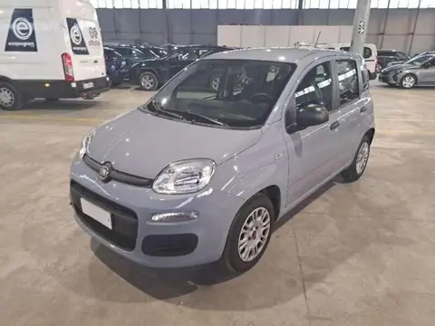 Used FIAT PANDA Petrol 2020 Ad 