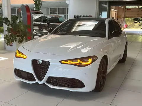 Used ALFA ROMEO GIULIA Diesel 2024 Ad 