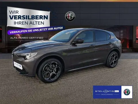 Annonce ALFA ROMEO STELVIO Essence 2022 d'occasion 