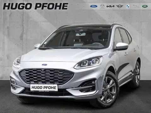 Annonce FORD KUGA Hybride 2022 d'occasion 