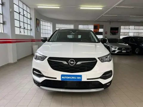 Annonce OPEL GRANDLAND Diesel 2019 d'occasion 