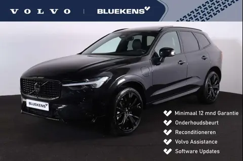 Annonce VOLVO XC60 Hybride 2024 d'occasion 