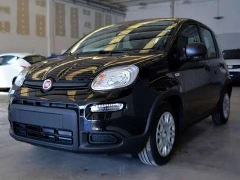 Used FIAT PANDA Hybrid 2024 Ad 