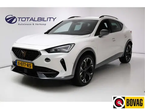 Used CUPRA FORMENTOR Hybrid 2023 Ad 