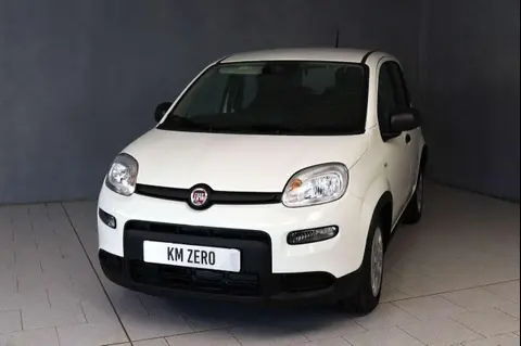 Used FIAT PANDA Hybrid 2024 Ad 