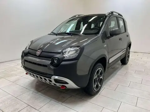 Used FIAT PANDA Petrol 2023 Ad 