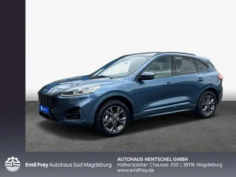 Used FORD KUGA Hybrid 2022 Ad 