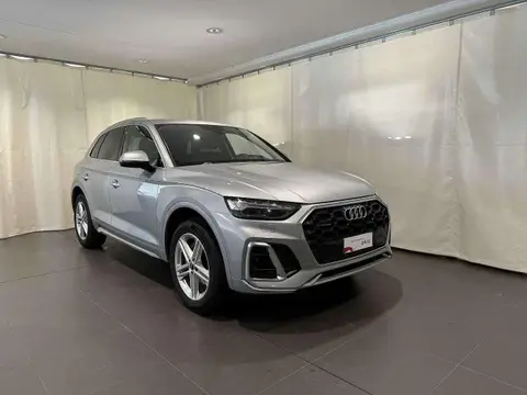 Used AUDI Q5 Diesel 2023 Ad 