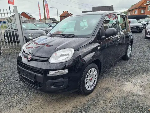 Annonce FIAT PANDA Essence 2021 d'occasion 