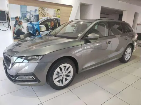 Used SKODA OCTAVIA Petrol 2024 Ad 