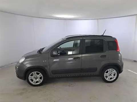 Annonce FIAT PANDA Hybride 2023 d'occasion 