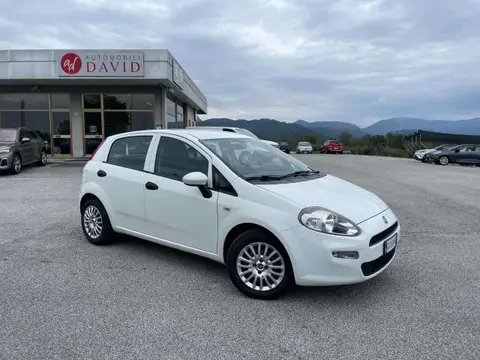 Used FIAT PUNTO Petrol 2017 Ad 