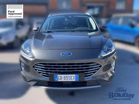 Annonce FORD KUGA Diesel 2021 d'occasion 