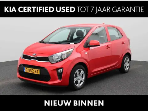 Used KIA PICANTO Petrol 2019 Ad 