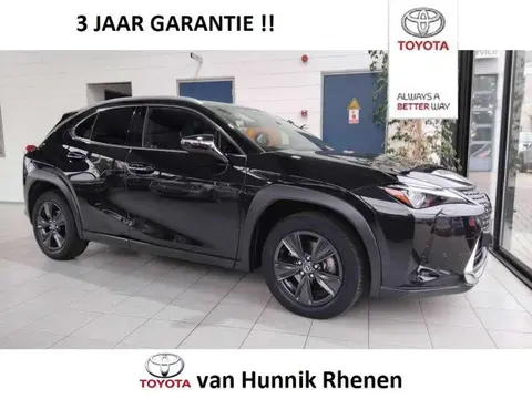 Used LEXUS UX Hybrid 2020 Ad 