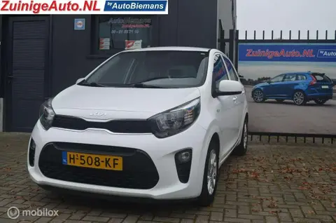 Annonce KIA PICANTO Essence 2020 d'occasion 