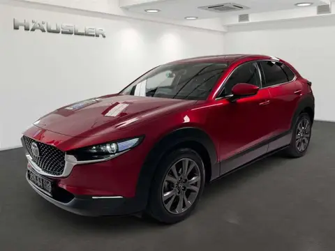 Annonce MAZDA CX-30 Essence 2021 d'occasion 