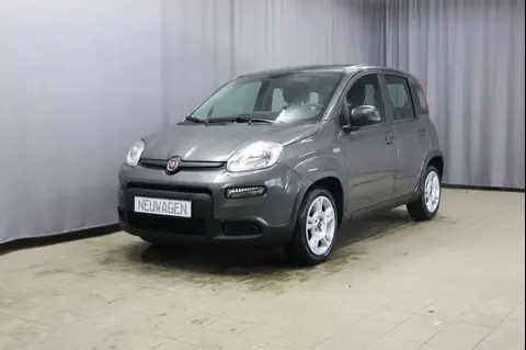 Used FIAT PANDA Petrol 2024 Ad 