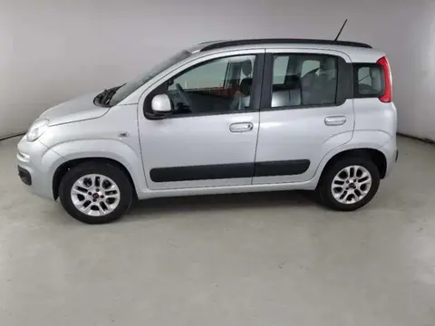 Used FIAT PANDA Petrol 2020 Ad 