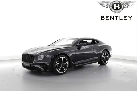 Used BENTLEY CONTINENTAL Petrol 2024 Ad 