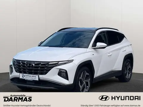 Annonce HYUNDAI TUCSON Diesel 2023 d'occasion 