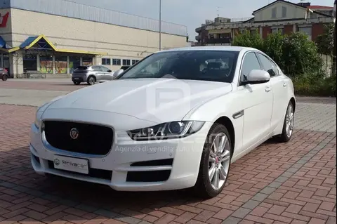 Used JAGUAR XE Diesel 2018 Ad 