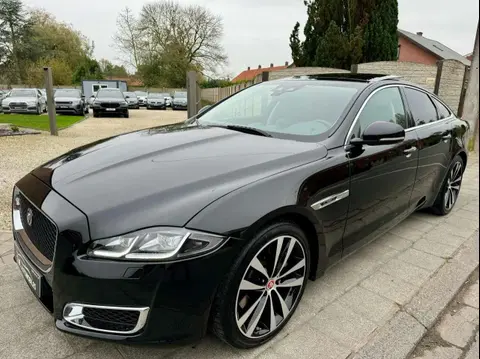 Annonce JAGUAR XJ Diesel 2020 d'occasion 