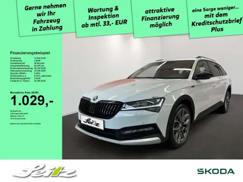 Annonce SKODA SUPERB Diesel 2024 d'occasion 