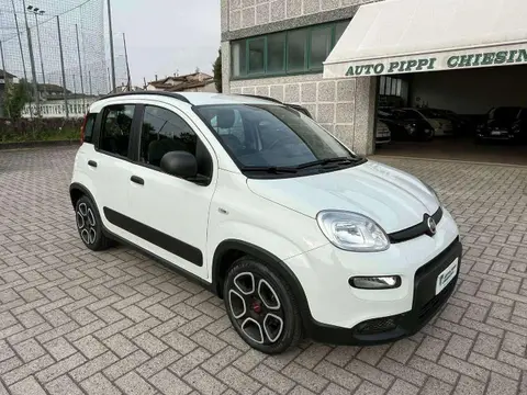 Used FIAT PANDA Hybrid 2022 Ad 