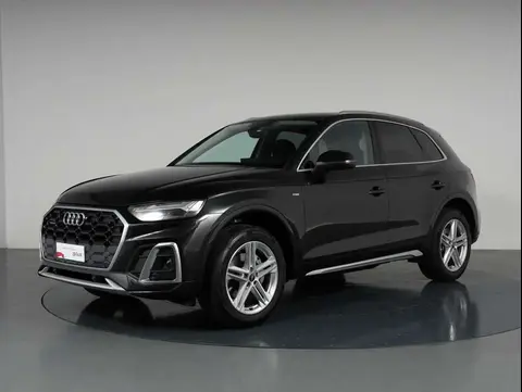 Used AUDI Q5 Hybrid 2024 Ad 